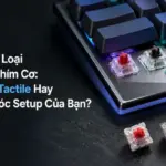 Cover So sánh các loại switch bàn phím cơ – Linear Tactile Clicky