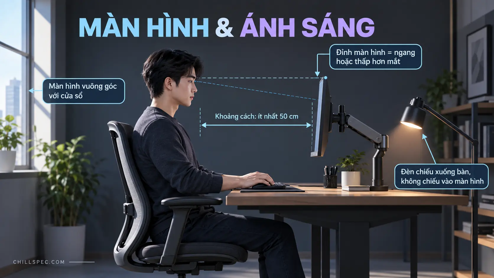 Minh họa độ cao màn hình, khoảng cách 50 cm và hướng đèn trong setup công thái học