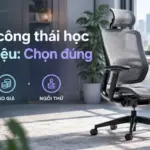 Top ghế công thái học dưới 5 triệu: Chọn đúng