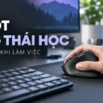 Ảnh bìa hướng dẫn chọn chuột công thái học cho người làm việc văn phòng, có tiêu đề Chuột công thái học đỡ mỏi tay khi làm việc và watermark Chillspec.com
